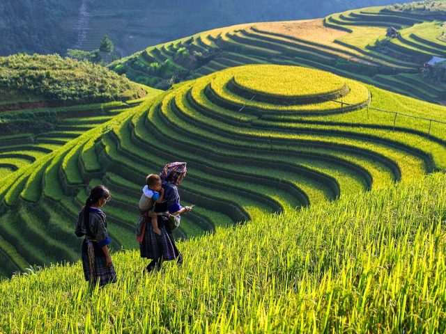 Qué ver en Vietnam Qué ver en Vietnam
