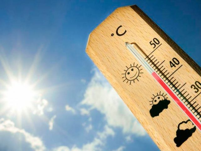 Las altas temperaturas confirman el calentamiento global Las altas temperaturas confirman el calentamiento global