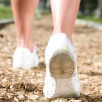 Ciencia y Medio Ambiente