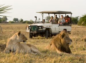 Safari en África