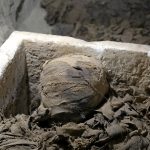 El gran valor de las momias para la humanidad Cultura y Ocio