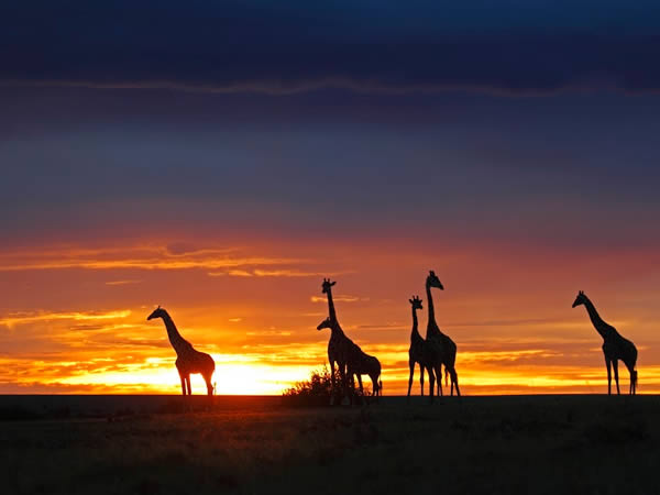 Riesgos y recomendaciones al viajar a África