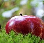 Vitaminas recomendadas – Para niños Salud