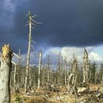 Ciencia y Medio Ambiente