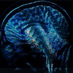 Ciencia y Medio Ambiente