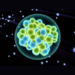 Ciencia y Medio Ambiente