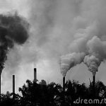 Ciencia y Medio Ambiente