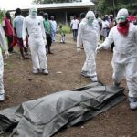 Curiosidades sobre las pestes Ciencia y Medio Ambiente