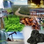 Ciencia y Medio Ambiente