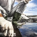 Ciencia y Medio Ambiente