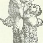 Ciencia y Medio Ambiente