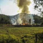 Ciencia y Medio Ambiente