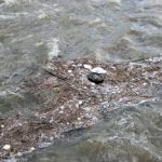 Ciencia y Medio Ambiente