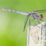 Ciencia y Medio Ambiente