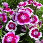 Ciencia y Medio Ambiente