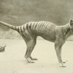 Ciencia y Medio Ambiente