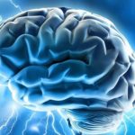 Lo que pasa en el cerebro justo antes de morir Ciencia y Medio Ambiente