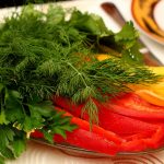 Ciencia y Medio Ambiente