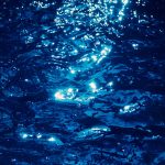 Ciencia y Medio Ambiente