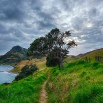 Ciencia y Medio Ambiente