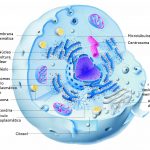 Ciencia y Medio Ambiente