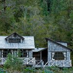 Ciencia y Medio Ambiente